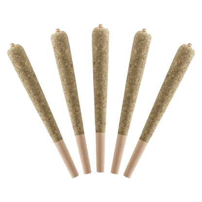 Five angled pre-rolled cones in a fan arrangement photographed on a white background, labeled Watermelon Infused PR 5 x 0.5 g.
