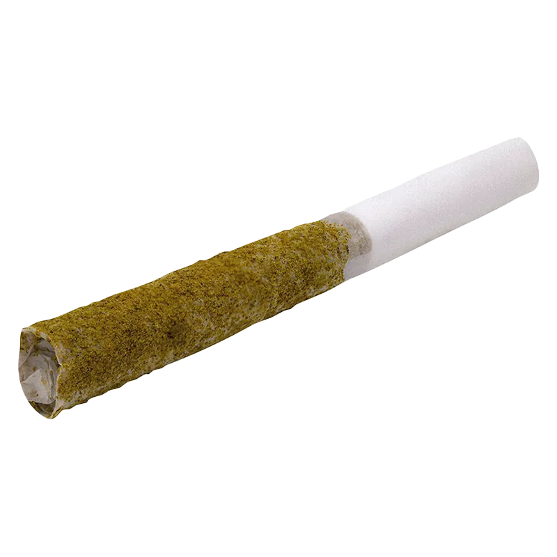 Angled close-up of a kief-coated joint with white filter, labeled ZKTLZ Live Diamonds Infused PR 5 x 0.5 g.