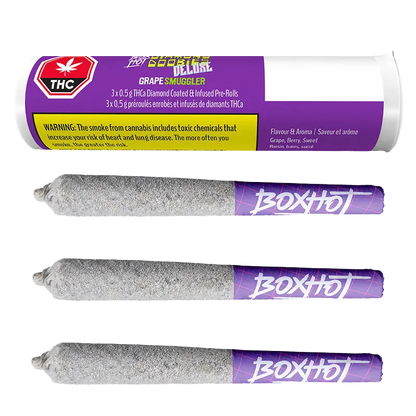 Top-down view of the Grape Smuggler Infused PR 3 x 0.5 g tube label above three diamond-coated, ash-gray pre-rolls with purple "BOXHOT" tips.