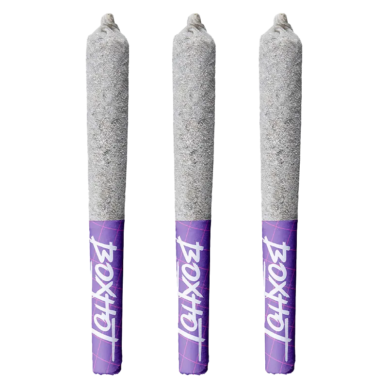 Three upright cone-shaped pre-rolls photographed front-on against white, labeled "Grape Smuggler Infused PR 3 x 0.5 g" with purple branded tips.
