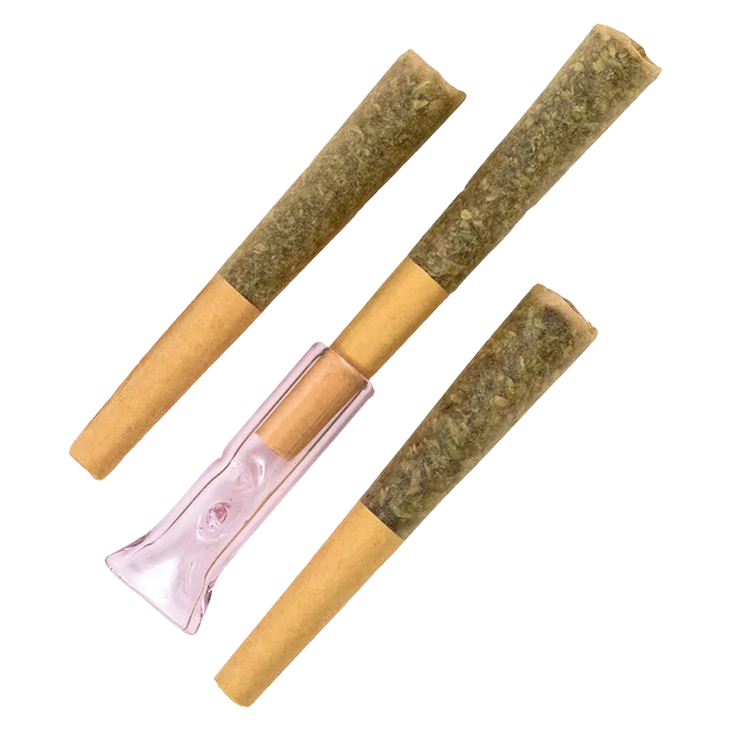 Pure Sunfarms 1.5 g Pink Kush Live Resin Infused PR 3 x 0.5 g Pre-Rolls