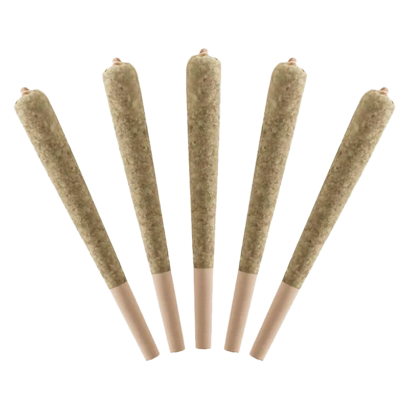 Standard Issue 2.5 g Sour Green Apple Infused PR 5 x 0.5 g Pre-Rolls
