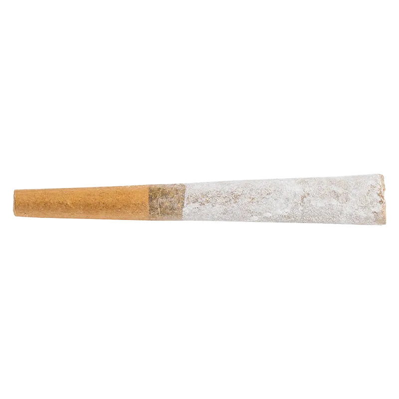 Platinum 1 g Guava Haze Infused PR 1 x 1 g Pre-Rolls