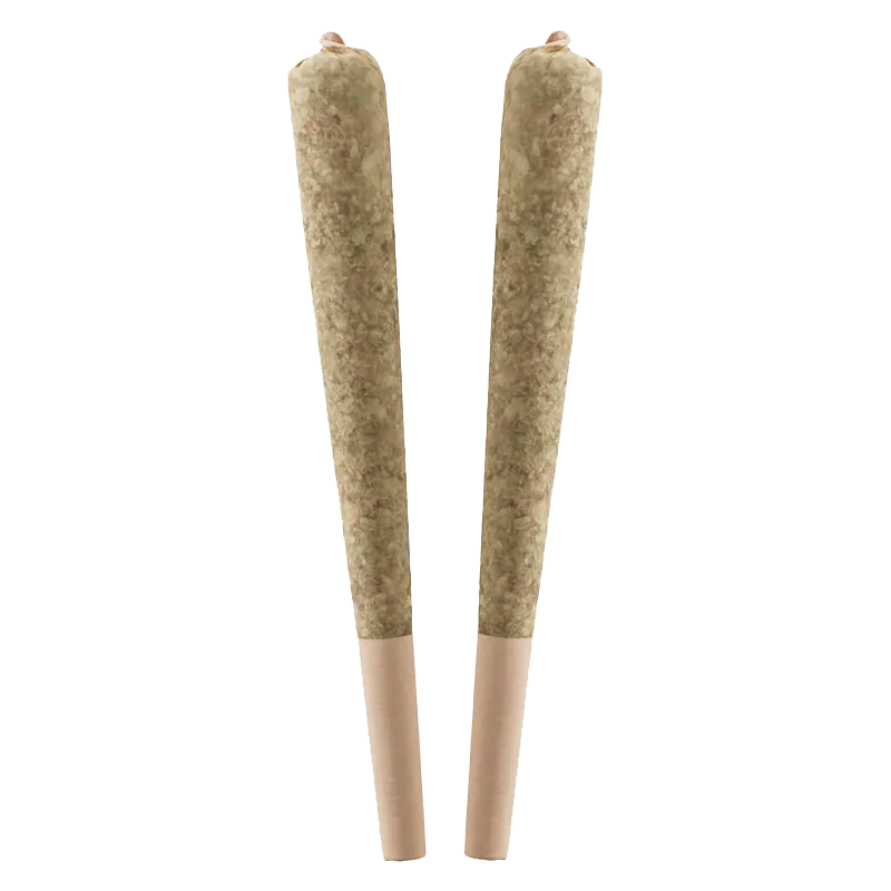 Standard Issue 1 g Grape Infused PR 2 x 0.5 g Pre-Rolls
