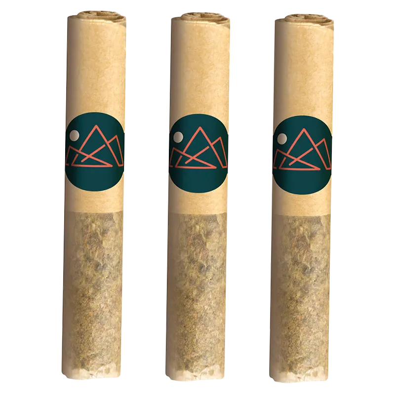 Tremblant Cannabis 1.5 g Pure Moroccan Hash Infused PR 3 x 0.5 g Pre-Rolls