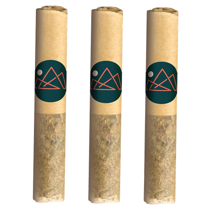Tremblant Cannabis 1.5 g Pure Moroccan Hash Infused PR 3 x 0.5 g Pre-Rolls