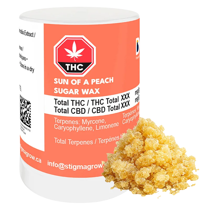 Dab Bods 1 g Sun of a Peach Sugar Wax Concentrates