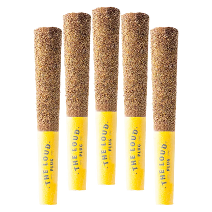 The Loud Plug 2.5 g Drippyz Mango Tango Infused PR 5 x 0.5 g Pre-Rolls