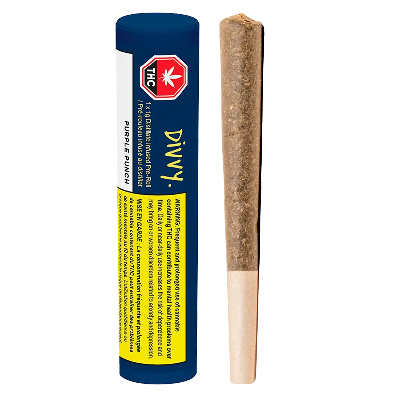 Divvy 1 g Purple Punch Distillate Infused PR 1 x 1 g Pre-Rolls
