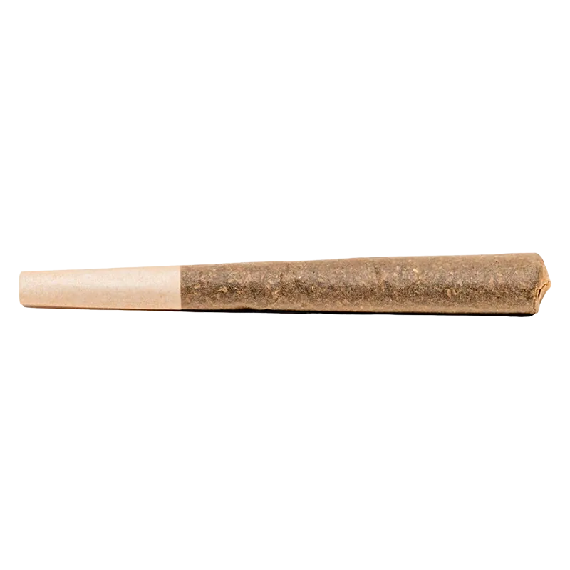 Divvy 1 g Purple Punch Distillate Infused PR 1 x 1 g Pre-Rolls