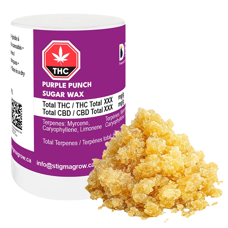 Dab Bods 1 g Purple Punch Sugar Wax Concentrates