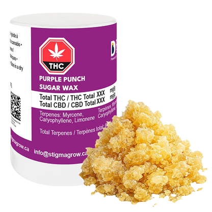 Dab Bods 1 g Purple Punch Sugar Wax Concentrates