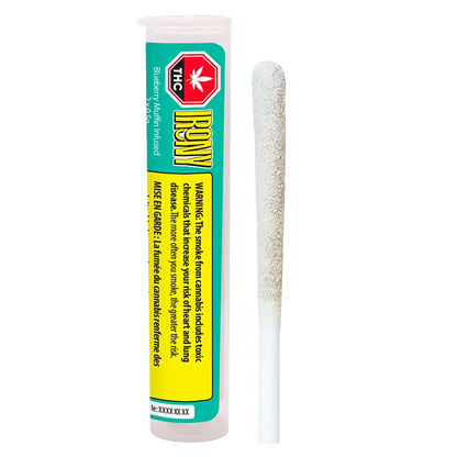 Irony 1 g Blueberry Muffin Infused PR 2 x 0.5 g Pre-Rolls