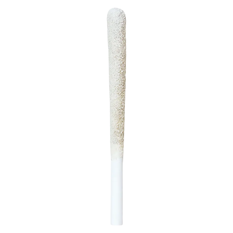 Irony 1 g Blueberry Muffin Infused PR 2 x 0.5 g Pre-Rolls