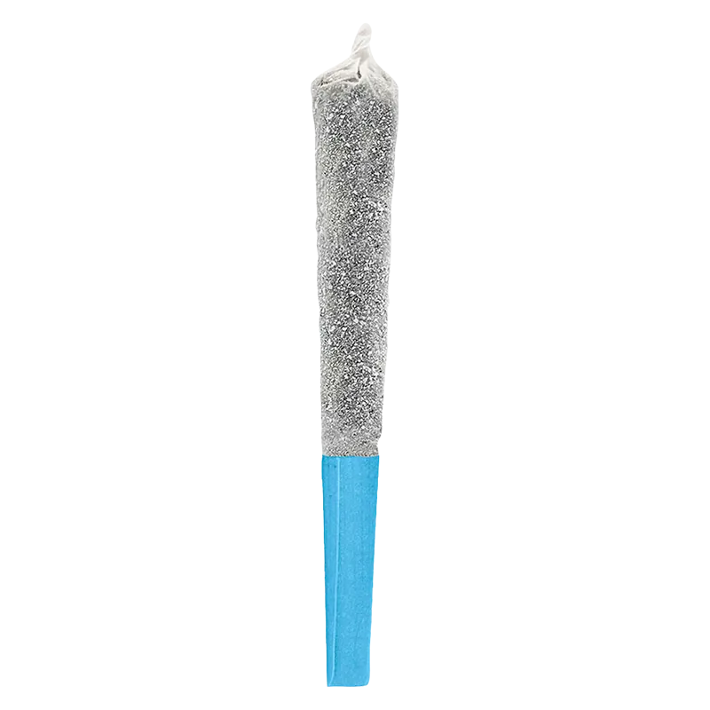 Potluck 0.5 g Blue Lagoon Thunder Infused PR 1 x 0.5 g Pre-Rolls
