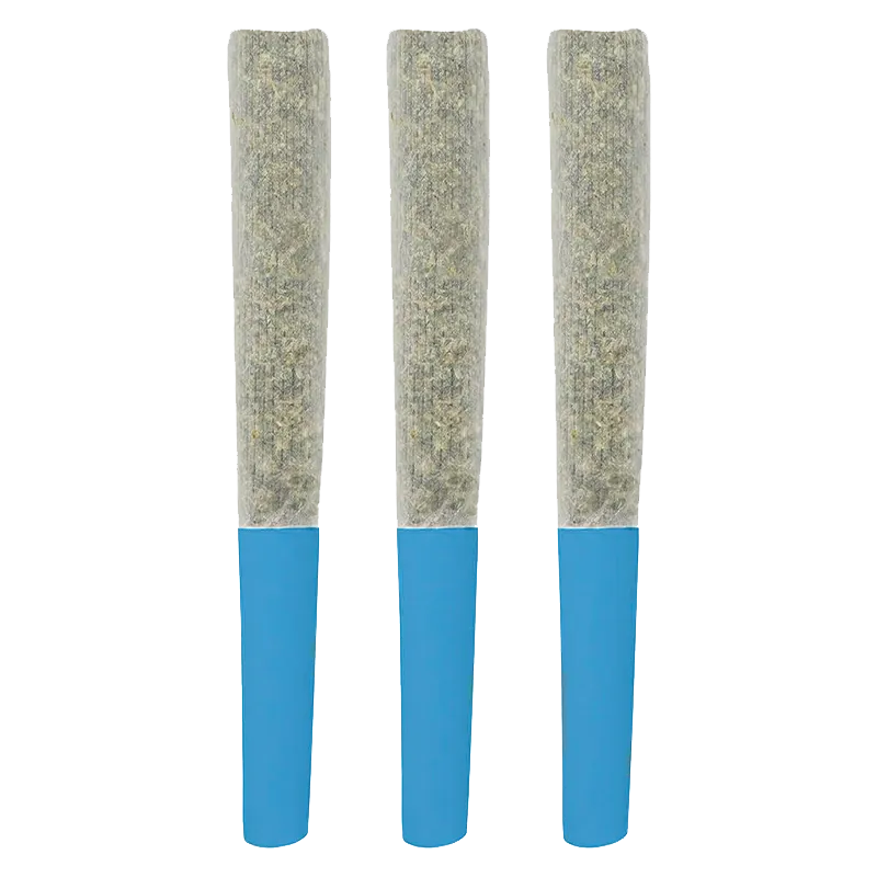 SlurpZ 1.5 g Blueberry Double Infused PRs 3 x 0.5 g Pre-Rolls