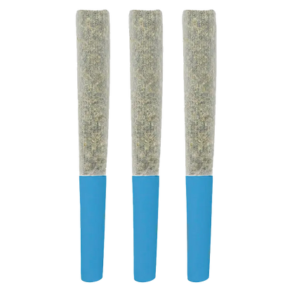 SlurpZ 1.5 g Blueberry Double Infused PRs 3 x 0.5 g Pre-Rolls