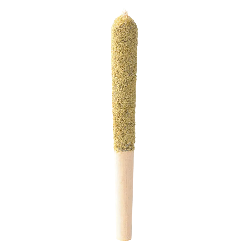Tenzo 0.5 g Pineapple ZKTLZ Double Hash Infused PR 1 x 0.5 g Pre-Rolls