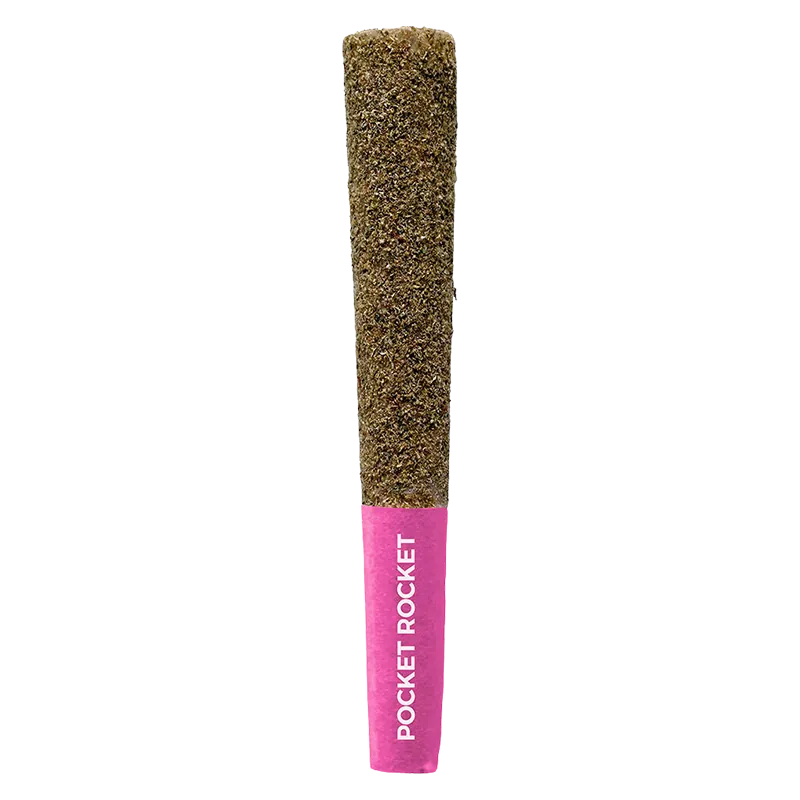 Pistol and Paris 2.5 g Pocket Rockets Blue Surfer Infused PR 5 x 0.5 g Pre-Rolls