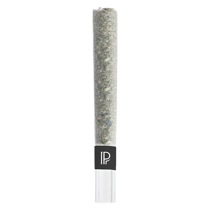 Pistol and Paris 1 g Pink Goo Bubble Hash Infused PR 1 x 1 g Pre-Rolls