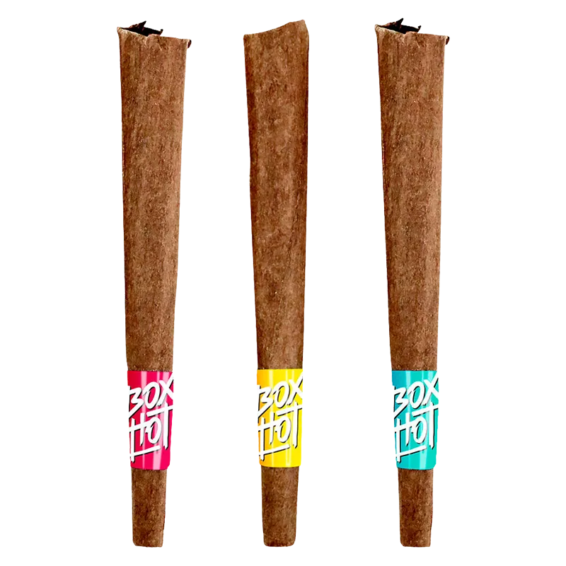 Boxhot 3 g Fatties Vol.2 Infused Blunt PR 3 x 1 g Pre-Rolls