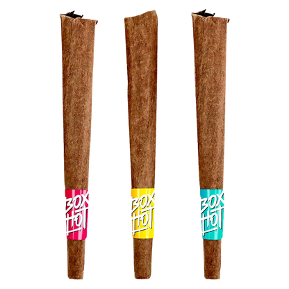 Boxhot 3 g Fatties Vol.2 Infused Blunt PR 3 x 1 g Pre-Rolls