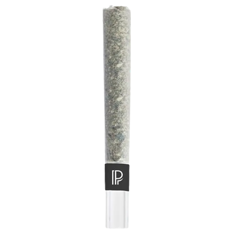 Pistol and Paris 1.5 g Permanent OG Bubble Hash Infused PR 1 x 1.5 g Pre-Rolls