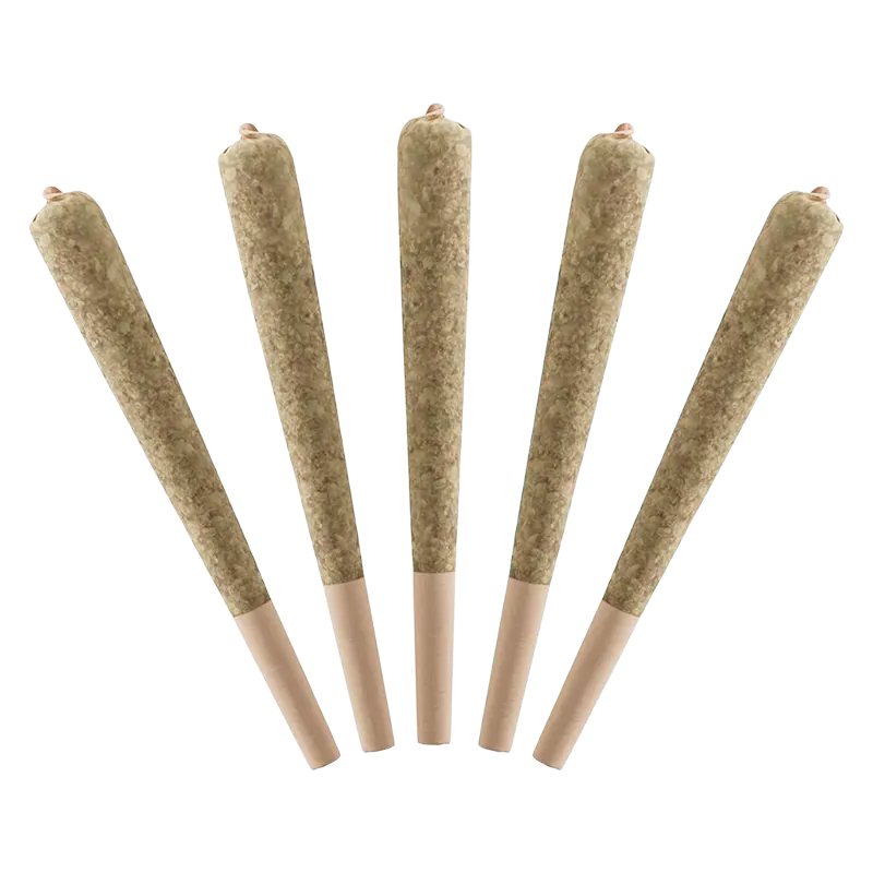 Standard Issue 2.5 g Wild Berry Infused PR 5 x 0.5 g Pre-Rolls