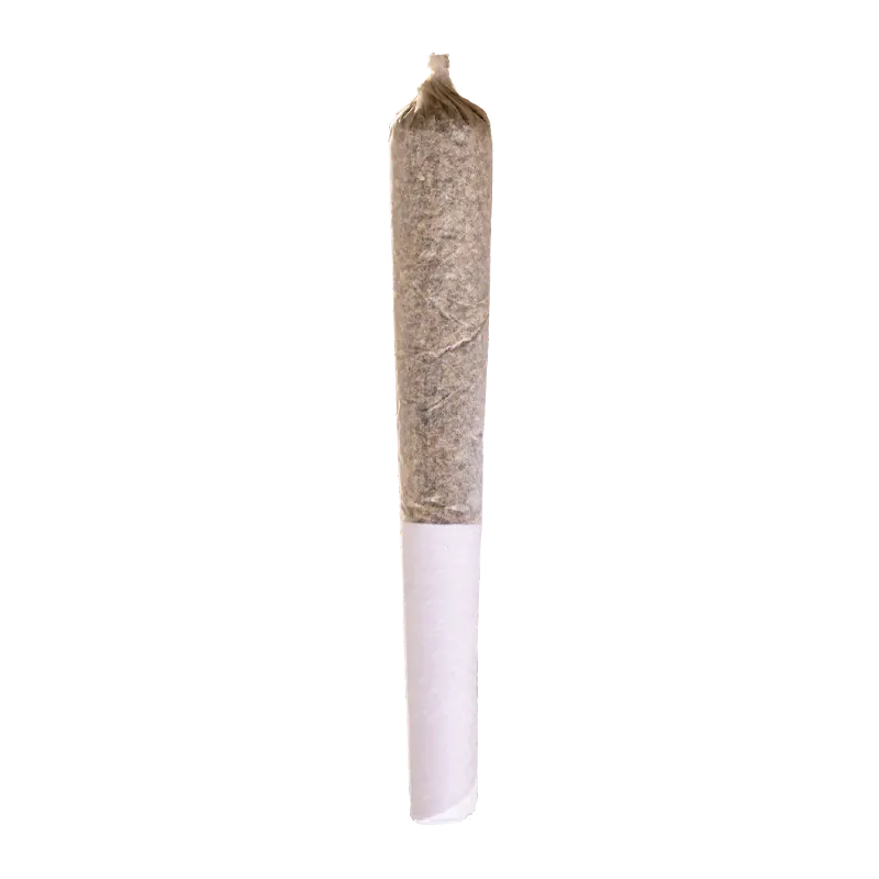 Vertical close-up of a single rolled joint against a white background labeled Blue Dream PR 1 x 0.5 g.