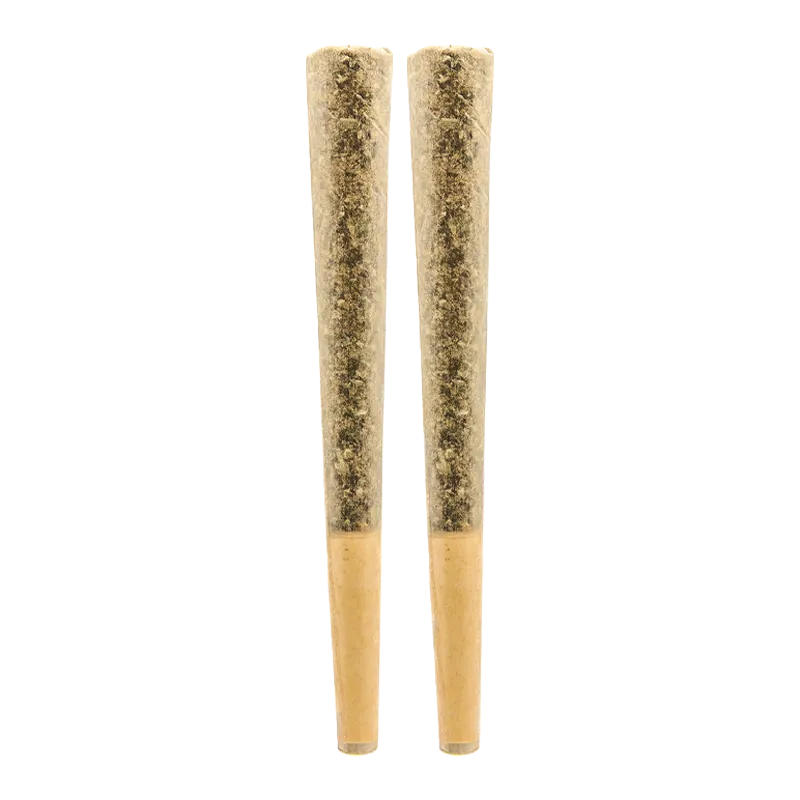 Straight-on view of two pre-rolled cones standing side by side, labeled Rocketman PR 2 x 1 g, on a white background.