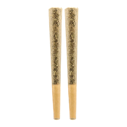 Straight-on view of two pre-rolled cones standing side by side, labeled Rocketman PR 2 x 1 g, on a white background.