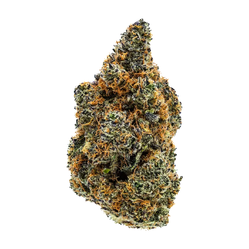 Close-up front view of the "Omakase" cannabis bud against a white background, showing dense green nugs, orange pistils, and frosty trichomes.