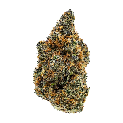 Close-up front view of the "Omakase" cannabis bud against a white background, showing dense green nugs, orange pistils, and frosty trichomes.