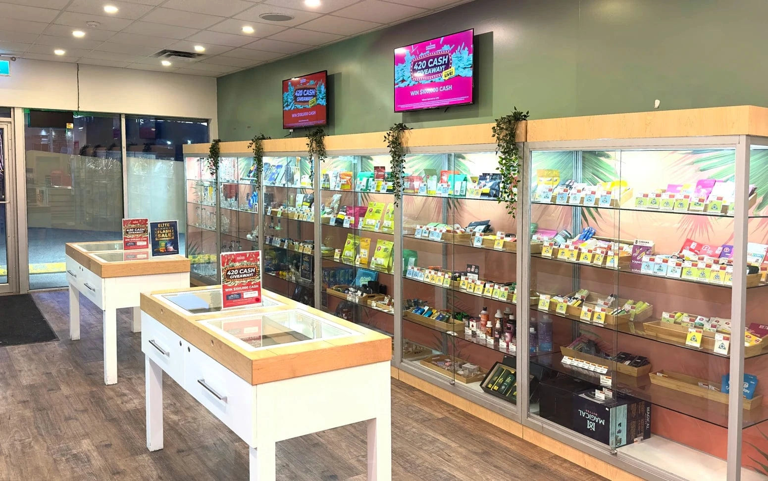 Kingsland Cannabis Store 
