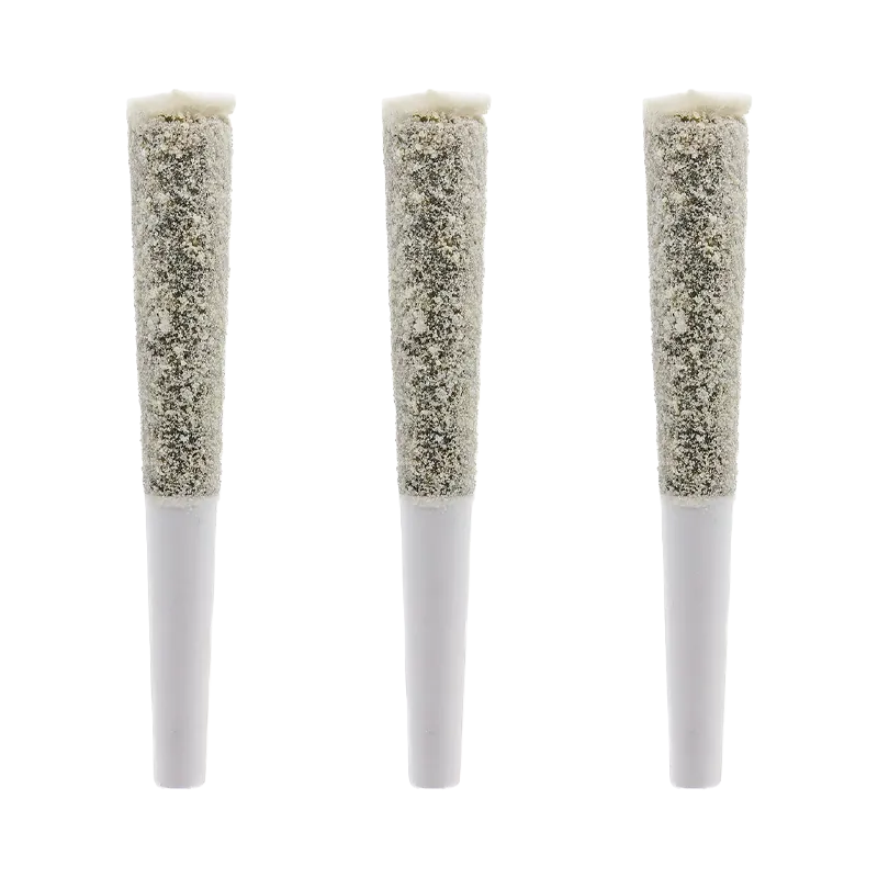 Three front-facing Live Resin Zlush Rntz Infused PR 3 x 0.6 g pre-rolls standing side by side on a white background.