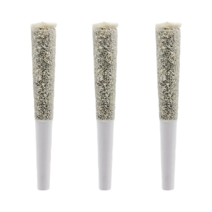 Three front-facing Live Resin Zlush Rntz Infused PR 3 x 0.6 g pre-rolls standing side by side on a white background.