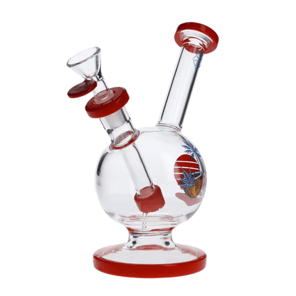 Cabana Cannabis Co. Each Bongs