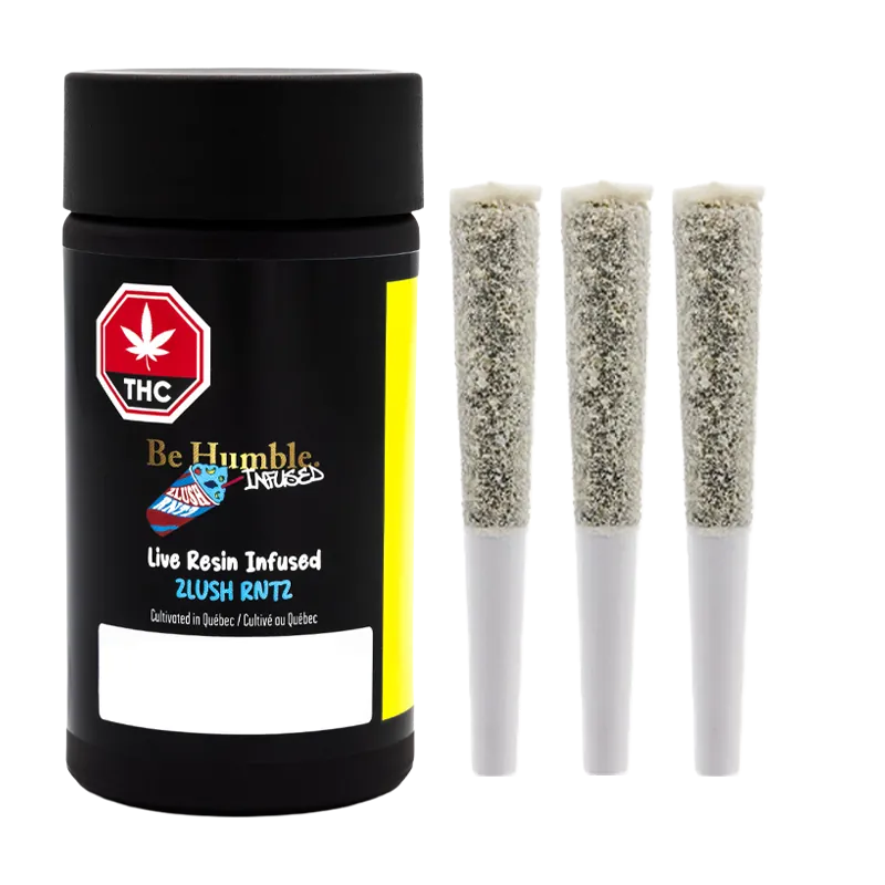 Studio-lit front view of a black canister and three pre-rolls of Live Resin Zlush Rntz Infused PR 3 x 0.6 g, arranged against a white background.