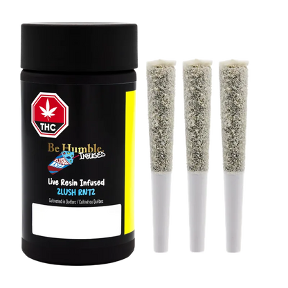 Studio-lit front view of a black canister and three pre-rolls of Live Resin Zlush Rntz Infused PR 3 x 0.6 g, arranged against a white background.