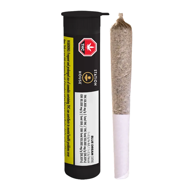 Vertical studio shot of a rolled joint standing beside the black tube packaging of Blue Dream PR 1 x 0.5 g.