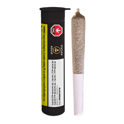 Vertical studio shot of a rolled joint standing beside the black tube packaging of Blue Dream PR 1 x 0.5 g.