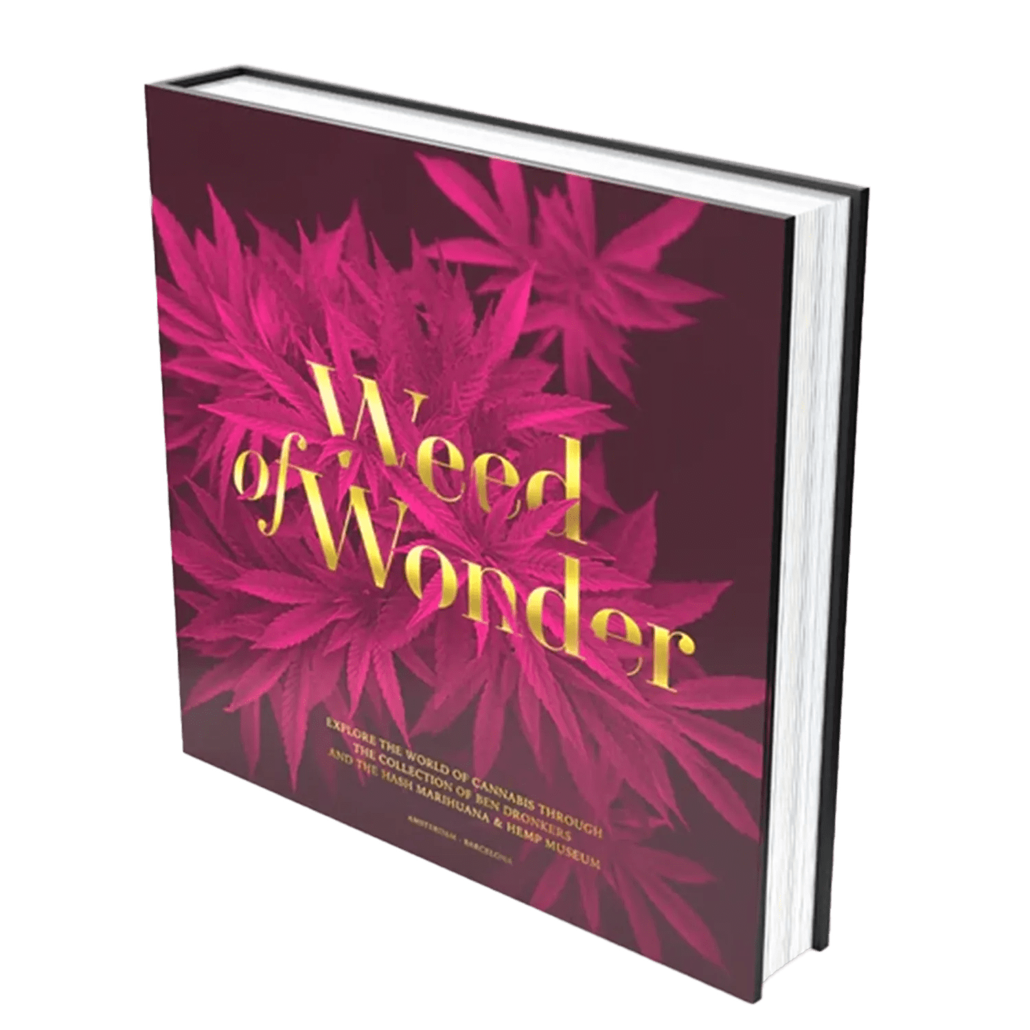 Weed of Wonder Each Rolling Accessories