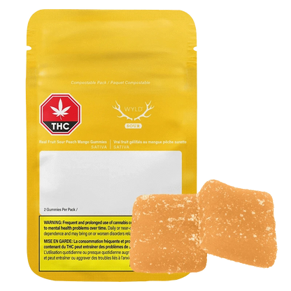 Front-facing yellow pouch and two sugar-coated orange squares of Sour Peach Mango 3:1 CBG:THC Gummies.
