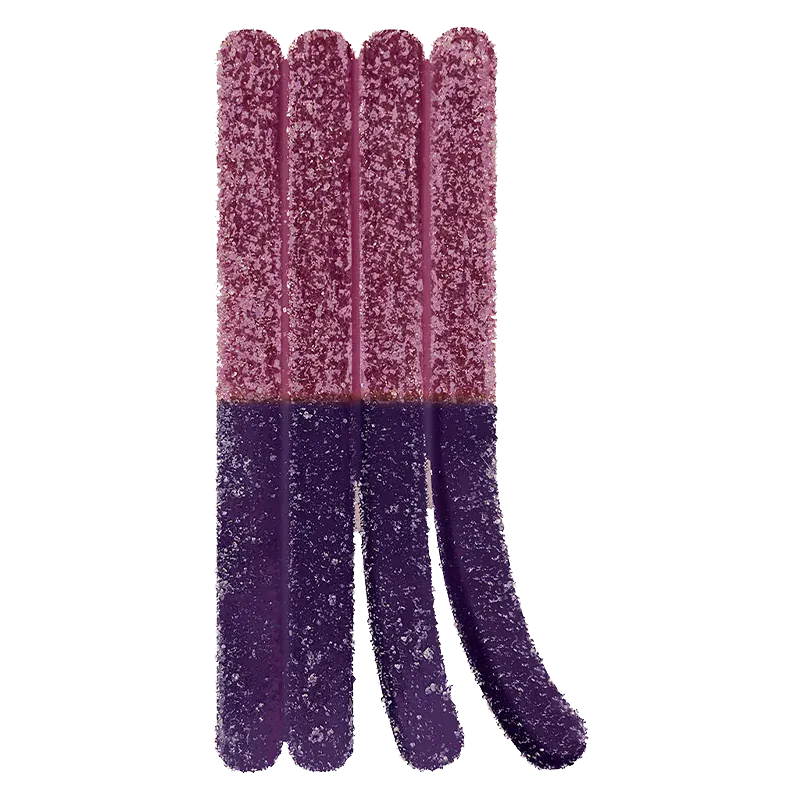 Olli Stikistix 10 Pack Live Rosin Grandady Blackberry Gummies Edibles