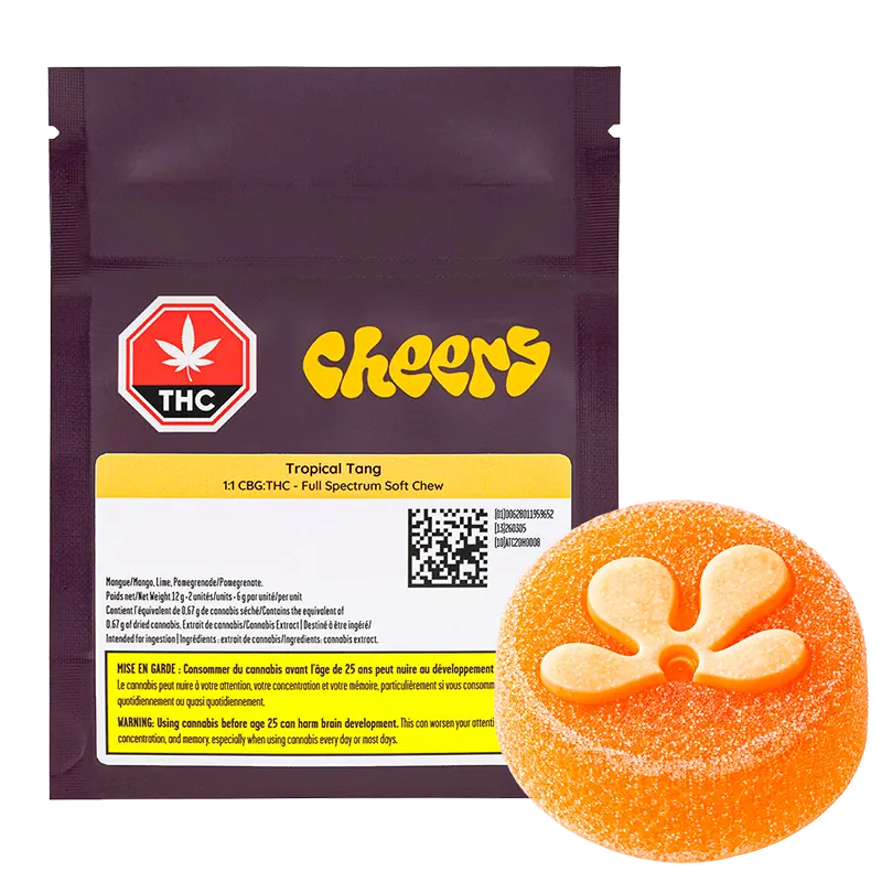 Cheers Cannabis 2 Pack Tropical Tang 1:1 CBG:THC FSO Gummies Edibles