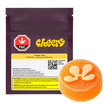 Cheers Cannabis 2 Pack Tropical Tang 1:1 CBG:THC FSO Gummies Edibles