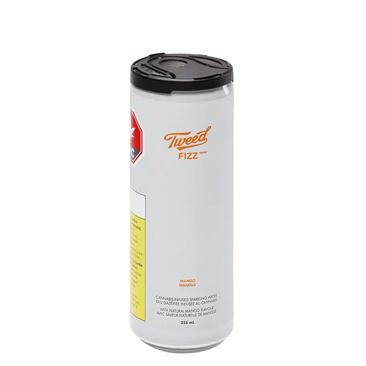 Fizz Sparkling Mango can is displayed in a close-up, angled shot, showing its vibrant branding against a white background.