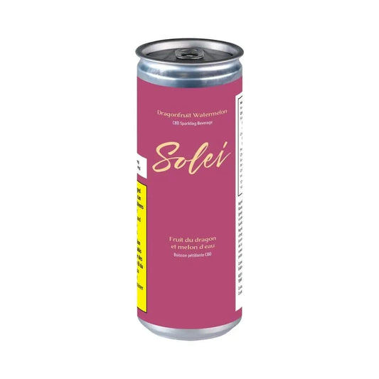 Front view of the Dragonfruit Watermelon can, a tall, silver beverage with minimal branding.