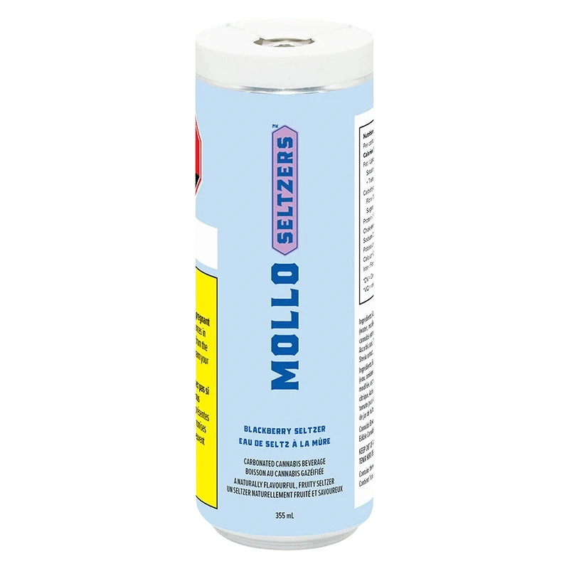 Tall front-facing can with pale blue label showing "MOLLO SELTZERS" and small text reading Blackberry Seltzer 355 ml, photographed on white.