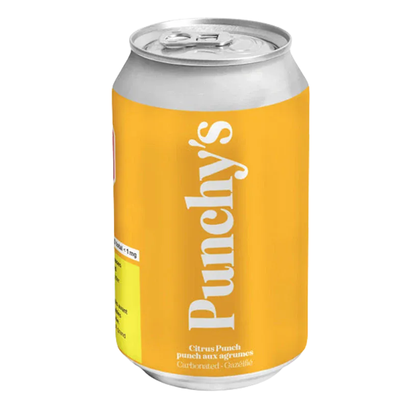 Angled front view of a 355 ml Punchy's Citrus Punch can with a bright yellow label and large vertical white logo against a white background